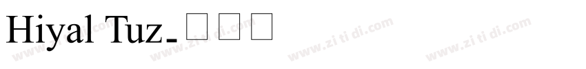 Hiyal Tuz字体转换